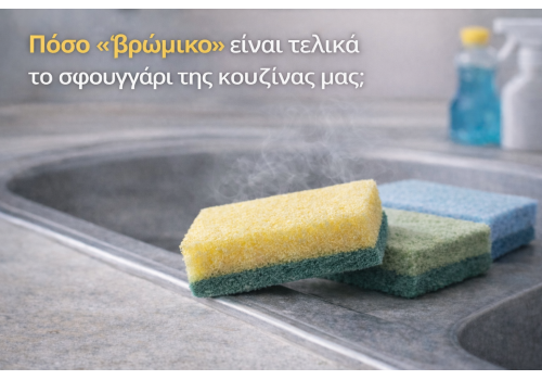 Πόσο «βρώμικο» είναι τελικά το σφουγγάρι της κουζίνας μας;