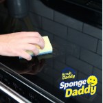 Sponge Daddy (σετ 4τεμ.)